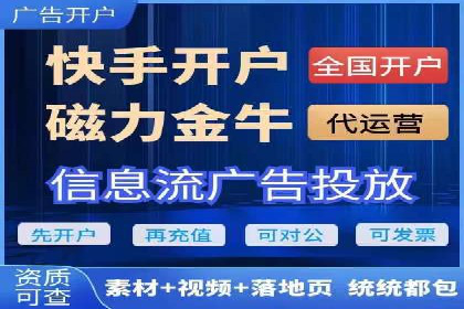 百度广告投放策略：成功案例解析